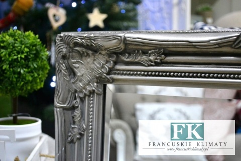 LUSTRO DREWNO , PION , POZIOM 74,5 x 63 cm , rama srebrna , srebrne