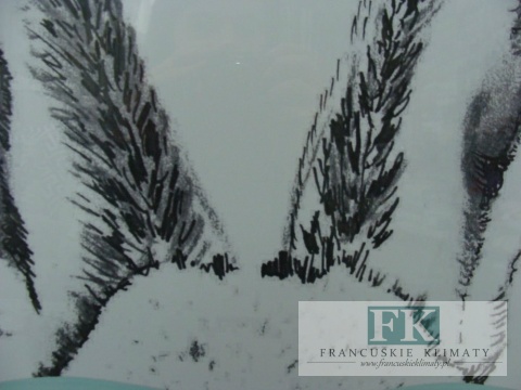 OBRAZ NA PŁÓTNIE KRÓLIK ZAJĄC 60/90 W OKULARACH MIĘTOWYCH