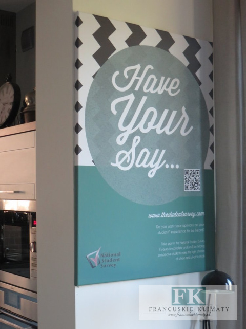 OBRAZ NA PŁÓTNIE 70 X 100 MIĘTA FRANCUSKI SKANDYNAWSKI płótno CUDO