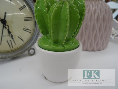 WYJĄTKOWY POJEMNIK KAKTUS WYS. 13 CM SHABBY PROWANSJA VINTAGE