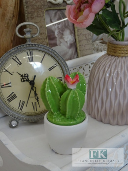 WYJĄTKOWY POJEMNIK KAKTUS WYS. 13 CM SHABBY PROWANSJA VINTAGE