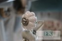 OZDOBNA GAŁKA DO MEBLI KWIATEK 4 CM VINTAGE RETRO FRANCJA