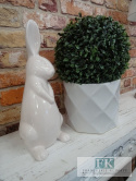 WYPRZEDANE