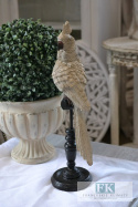 WYORZEDANE