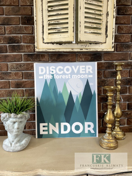 OBRAZ NA PŁÓTNIE,, ENDOR 