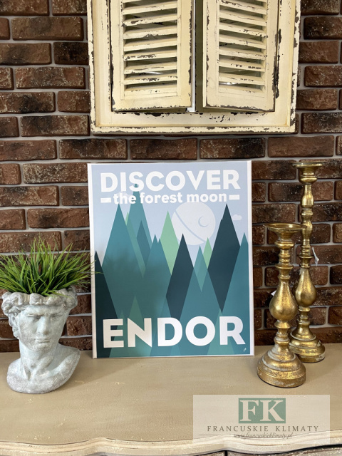 OBRAZ NA PŁÓTNIE,, ENDOR " 60X50