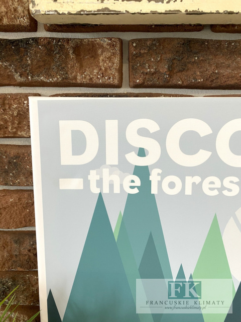 OBRAZ NA PŁÓTNIE,, ENDOR " 60X50