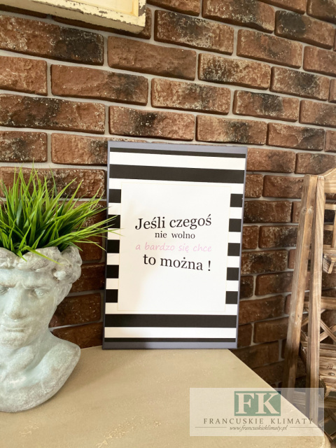 OBRAZ NA PŁÓTNIE JEŚLI CZEGOŚ NIE WOLNO... 30X45