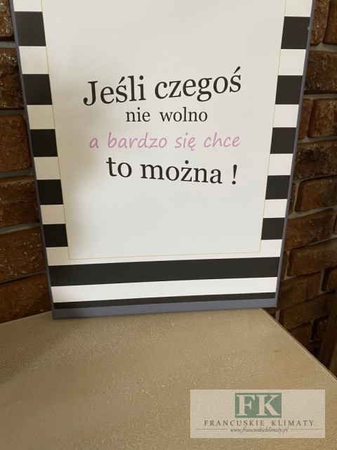 OBRAZ NA PŁÓTNIE JEŚLI CZEGOŚ NIE WOLNO... 30X45
