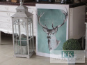 OBRAZ NA PŁÓTNIE 60 X 90 POPIERSIE JELENIA RETRO PROWANSJA SHABBY płótno Cudo OBRAZ NA PŁÓTNIE 60 X 90 POPIERSIE JELENIA RETRO PROWANSJA SHABBY płótno Cudo