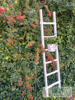 DEKORACJA DRABINA , KWIETNIK , WIESZAK 193 CM , SHABBY PROWANSJA